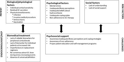 Clinical Unmet Needs in the Treatment of Adrenal Crisis: Importance of the Patient’s Perspective